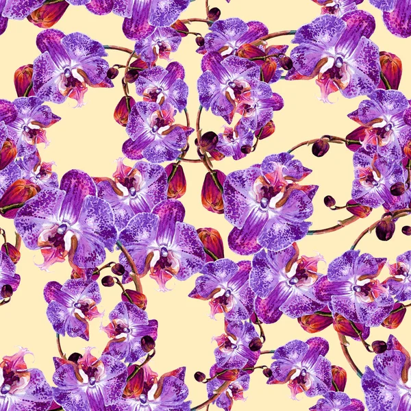 Padrão Sem Costura Aquarela Com Orquídeas — Fotografia de Stock