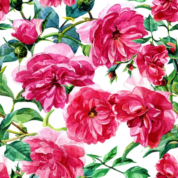 Seamless pattern of large roses painted in watercolor.