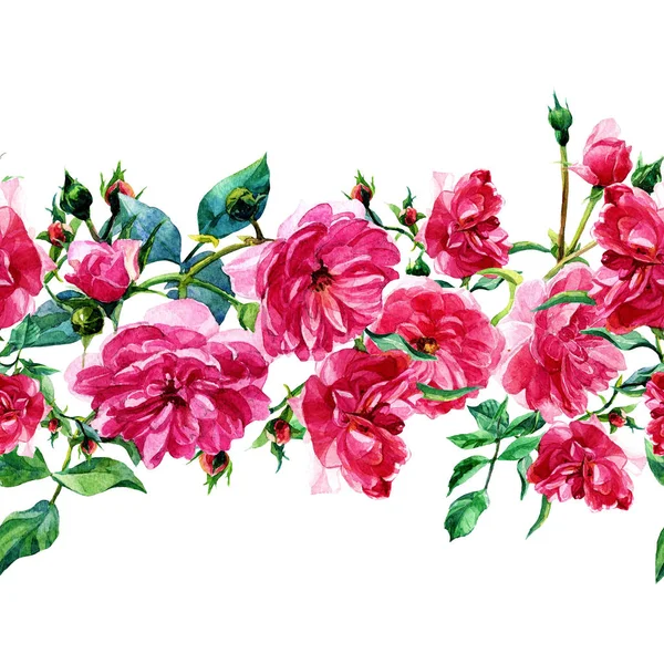 Padrão Sem Costura Rosas Grandes Pintadas Aquarela — Fotografia de Stock