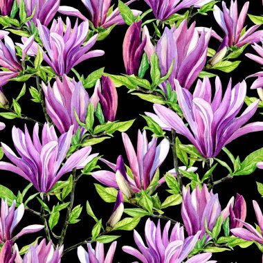 Manolya çiçek seamless modeli içinde suluboya boyalı.