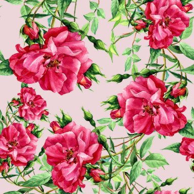 Seamless modeli içinde suluboya boyalı gül.