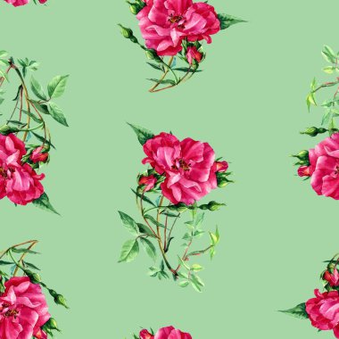 Seamless modeli içinde suluboya boyalı gül.