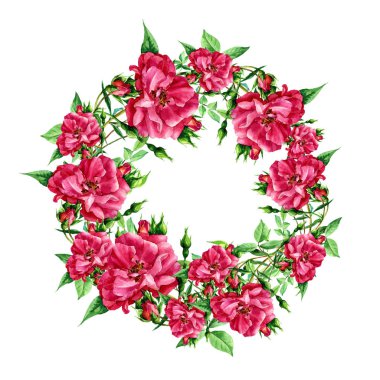 Yuvarlak çerçeve içinde suluboya boyalı gül.