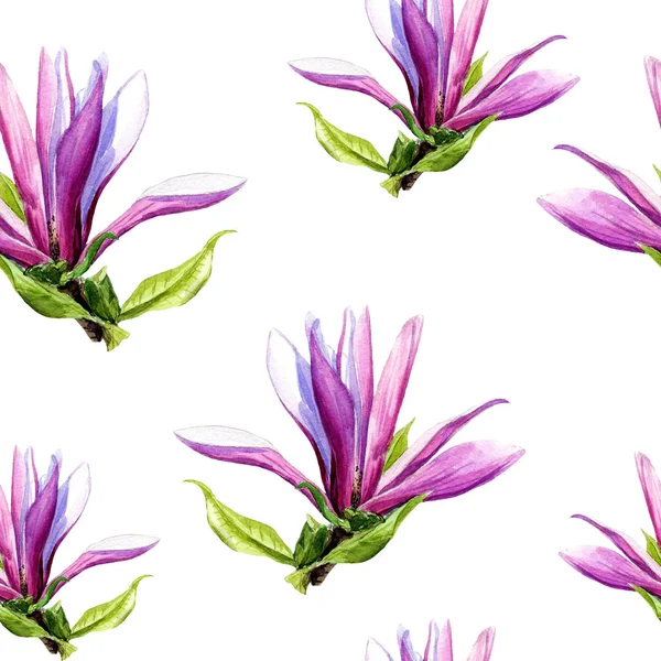 Modello Senza Cuciture Fiori Magnolia Dipinti Acquerello — Foto Stock