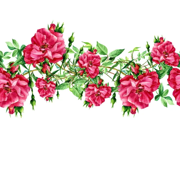 Vzor Bezešvé Růží Akvarel — Stock fotografie