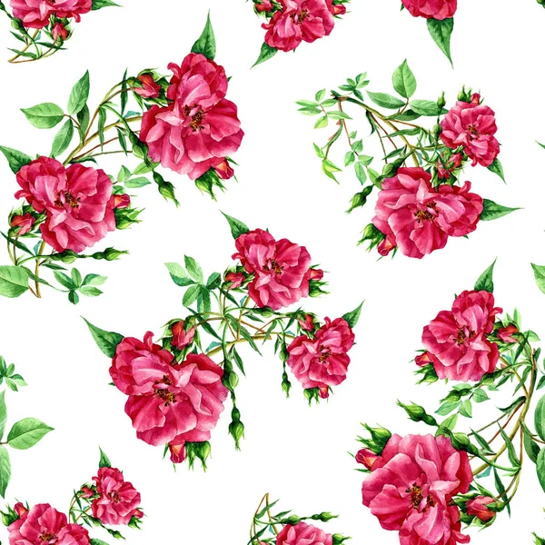 Jednolity Wzór Róż Malowane Akwareli — Zdjęcie stockowe