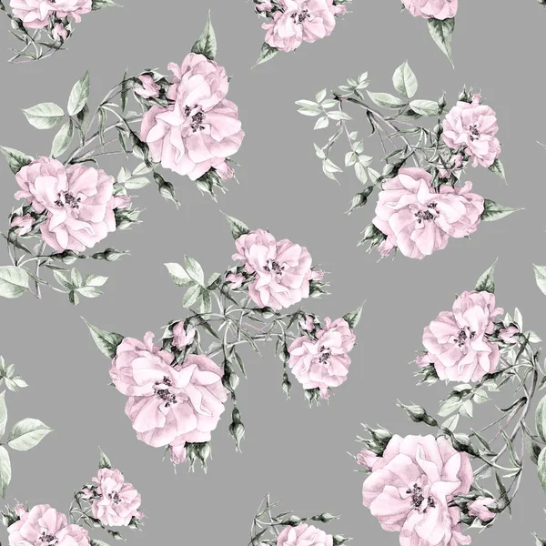 Seamless Pattern Roses Painted Watercolor — Stock Photo, Image