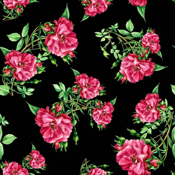 Padrão Sem Costura Rosas Pintadas Aquarela — Fotografia de Stock
