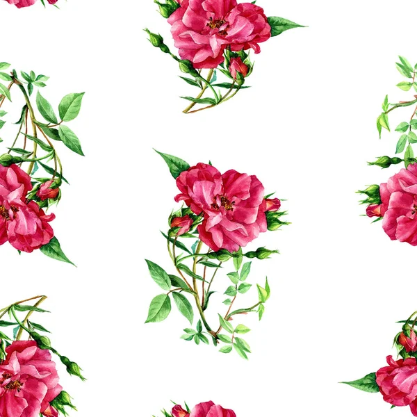 Seamless pattern of roses painted in watercolor.