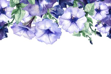 Suluboya arkaplan, Petunya çiçeklerinin metinleri için alanı olan çerçeve.