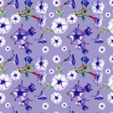 Petunya çiçeklerinin suluboya desenleri.