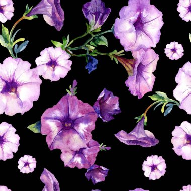Petunya çiçeklerinin suluboya desenleri.