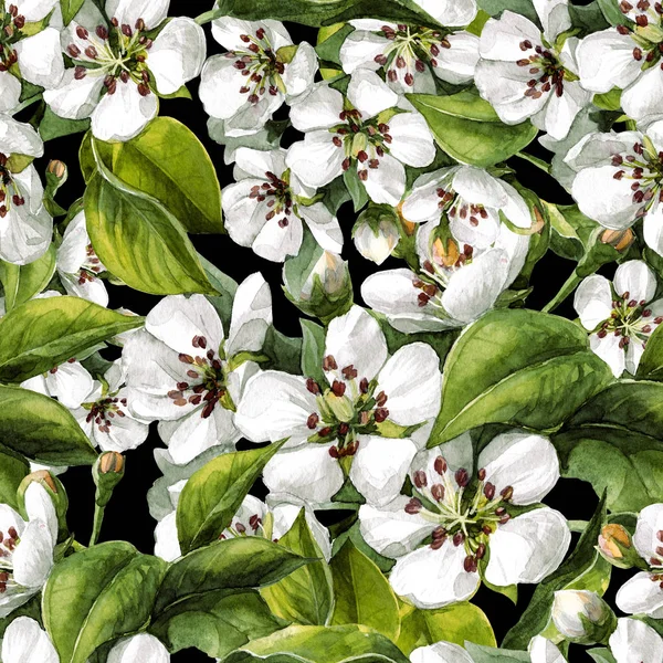 Patrón Sin Costuras Acuarela Ramas Pera Florecientes Jardín Primavera — Foto de Stock