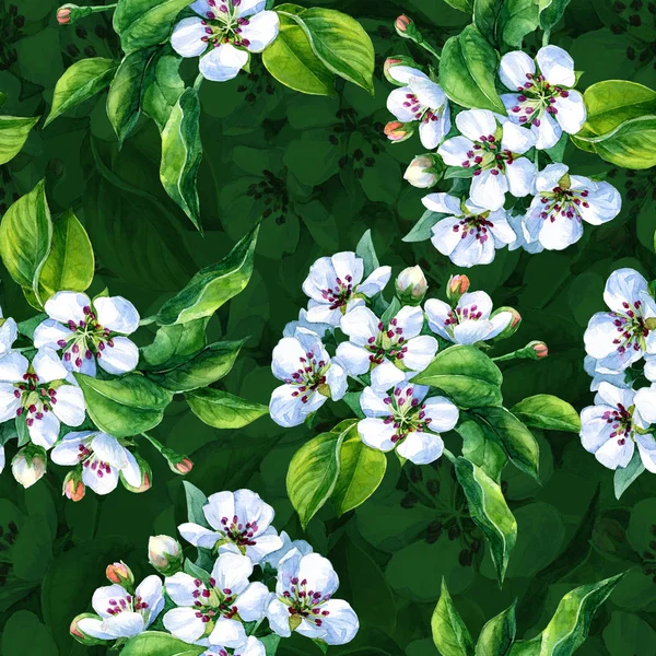 Akvarell Zökkenőmentes Minta Virágzó Körteágak Tavaszi Kertben — Stock Fotó