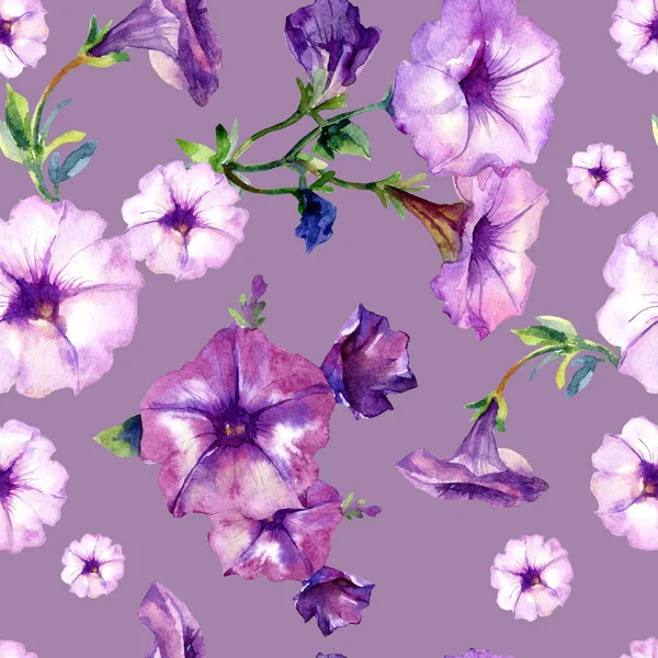 Akvarel Bezešvný Vzor Květin Petunie — Stock fotografie