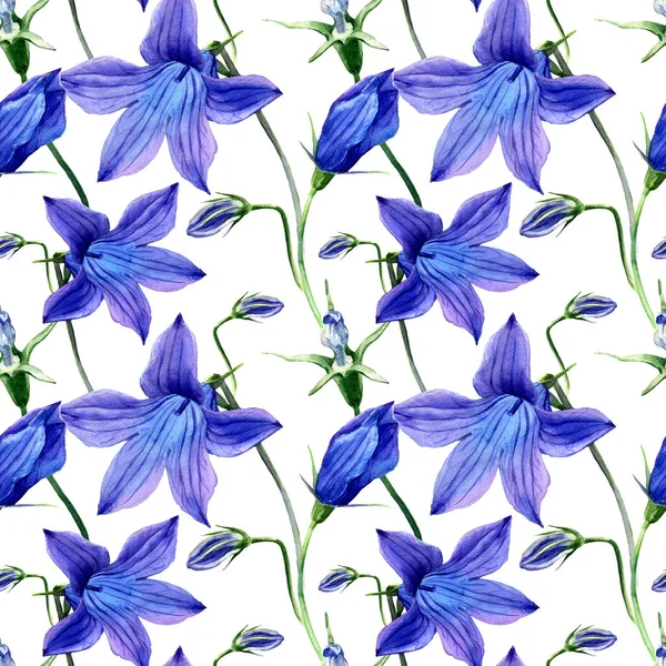 Watercolor Seamless Pattern Flowers Field Bell — Stock Photo, Image