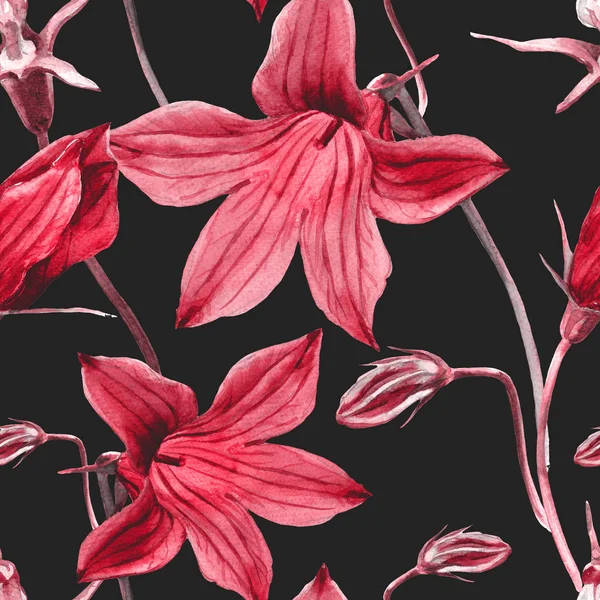 Акварель Безшовний Візерунок Квітів Польовий Дзвін — стокове фото