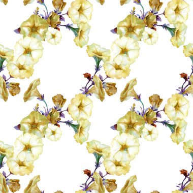 Petunya çiçeklerinin suluboya desenleri.