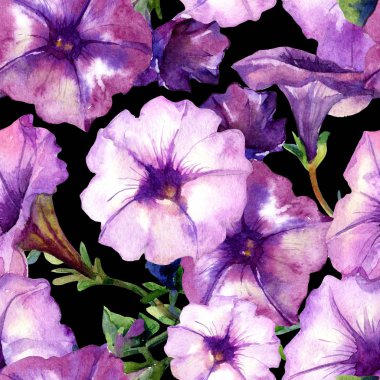 Petunya çiçeklerinin suluboya desenleri.