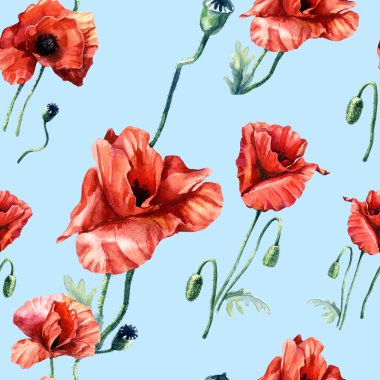 Haşhaşın suluboya deseni, botanik illüstrasyon.