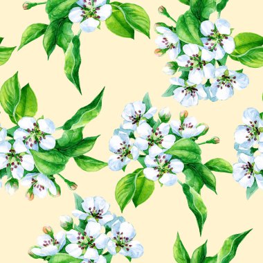 Bahar bahçesinde çiçek açan armut dallarının kusursuz deseni suluboya..