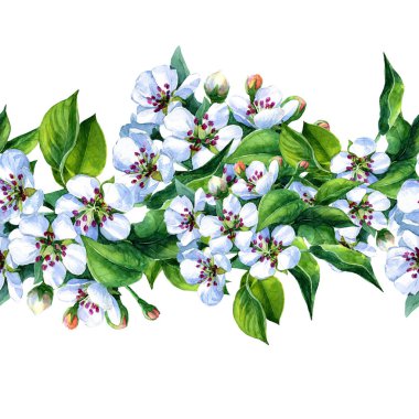 Bahar bahçesinde çiçek açan armut dallarının kusursuz deseni suluboya..