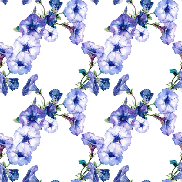 Акварельний Безшовний Візерунок Квітів Петунії — стокове фото