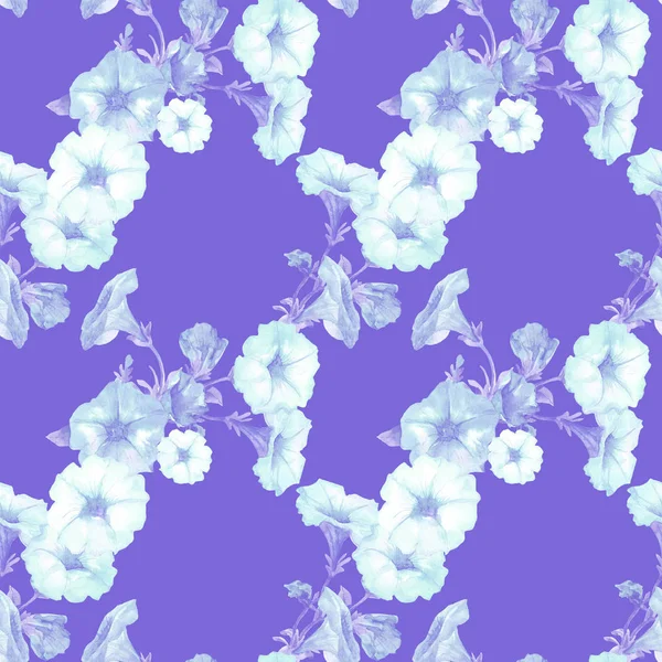 Akvarell Sömlös Mönster Petunia Blommor — Stockfoto