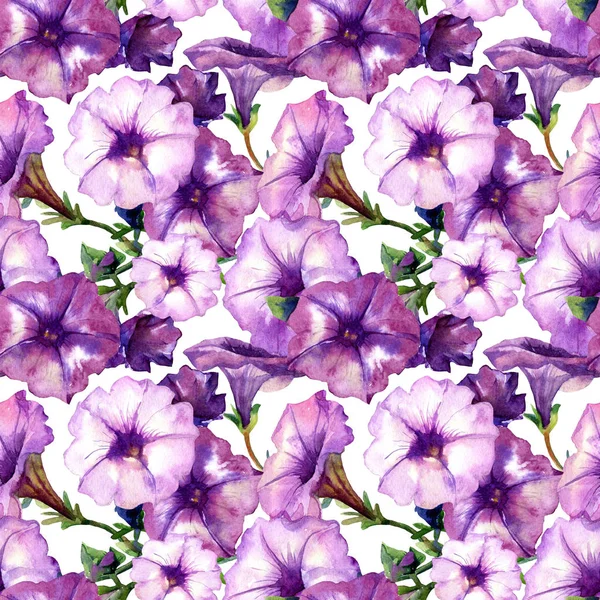 Акварельний Безшовний Візерунок Квітів Петунії — стокове фото