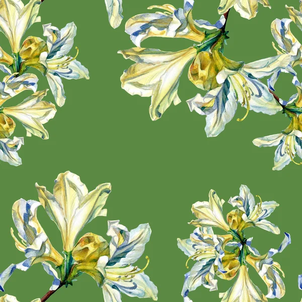 Watercolor Seamless Pattern Azalea Flowers — Stock Photo, Image
