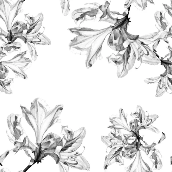 Watercolor Seamless Pattern Azalea Flowers — Stock Photo, Image