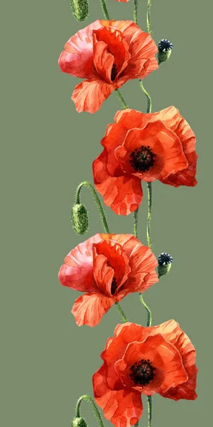 Watercolor Seamless Pattern Poppies Botanical Illustration — Stock Photo, Image