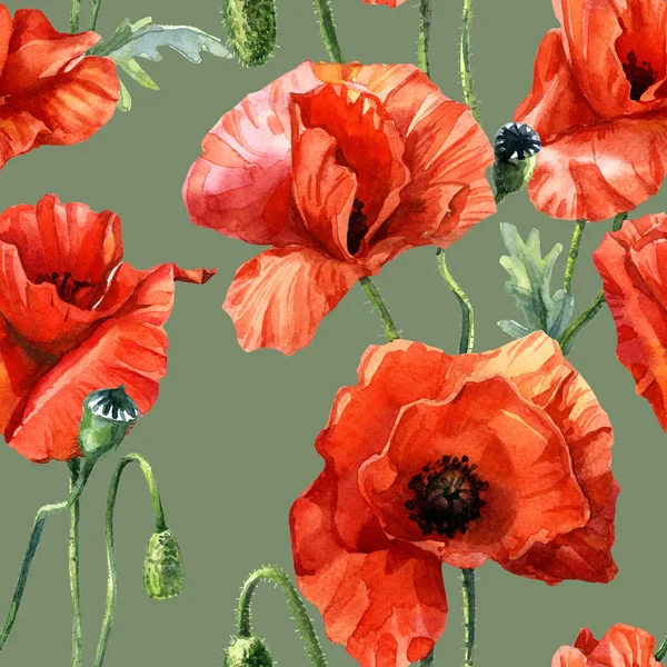 Aquarell Nahtloses Muster Von Mohn Botanische Illustration — Stockfoto