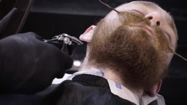 Herren-Friseur und Friseur im Friseursalon. — Stockvideo