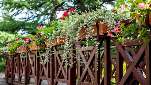 Un balcón florido en un parque, Georgia — Foto de Stock