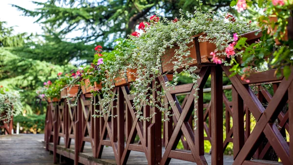 Een bloemrijke balkon in een park, Georgië — Stockfoto