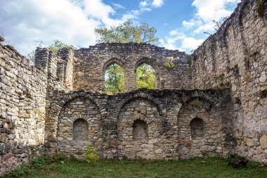 Ikalto Akademisi Ikalto Manastırı yanında kalıntıları. Ac