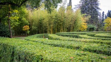 Çavçavadze park'Tsinandali, Kakhetia, Gürcistan