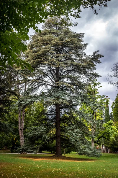 Parque Chavchavadze en Tsinandali, Kakhetia, Georgia — Foto de Stock