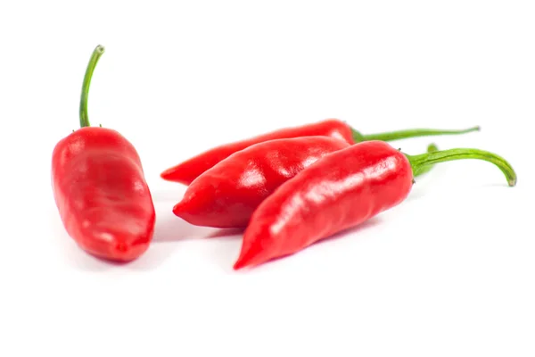Gesunde Ernährung. frisches Gemüse. rote Paprika auf weißem Hintergrund — Stockfoto