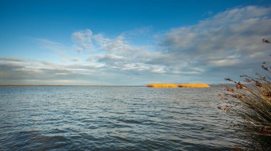 Lake Paleostomi, Poti, Gürcistan adada güzel görünümü