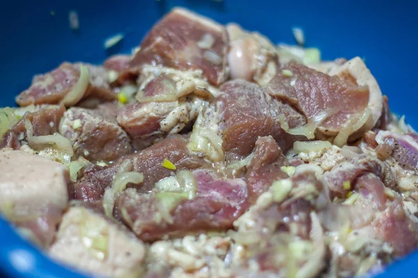 Spiedino crudo, carne cruda per barbecue — Foto Stock