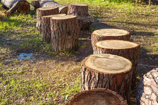 Haldy řezivo borovice polenového dřeva hrubý borové kůry detailní zobrazení — Stock fotografie