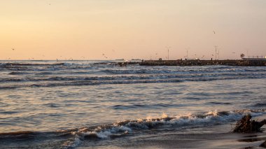 fırtına, martılar nehir Rioni, Pot Karadeniz kıyısında