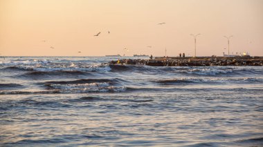 fırtına, martılar nehir Rioni, Pot Karadeniz kıyısında