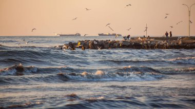 fırtına, martılar nehir Rioni, Pot Karadeniz kıyısında