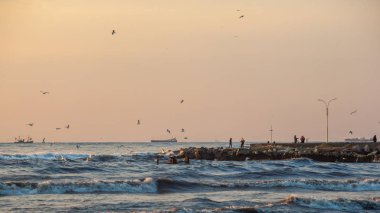 fırtına, martılar nehir Rioni, Pot Karadeniz kıyısında