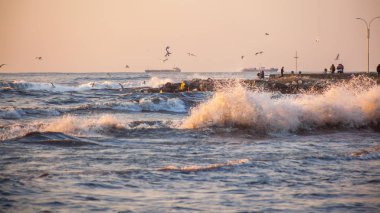 fırtına, martılar nehir Rioni, Pot Karadeniz kıyısında