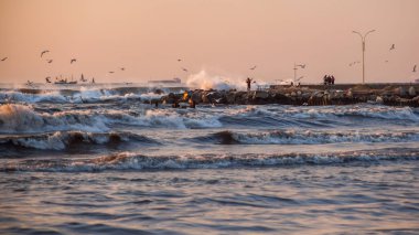 fırtına, martılar nehir Rioni, Pot Karadeniz kıyısında