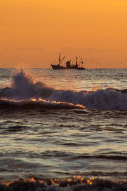 Seiner üzerinde bir Karadeniz, Poti, Gürcistan